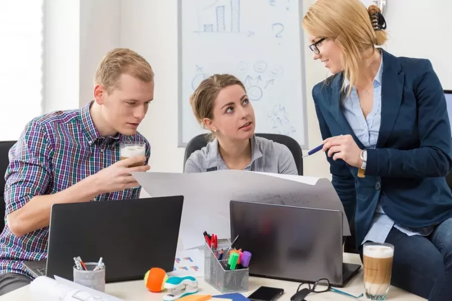 Seo-аудит Organic Seo в Красноярске: Реклама, IT сервисы,
