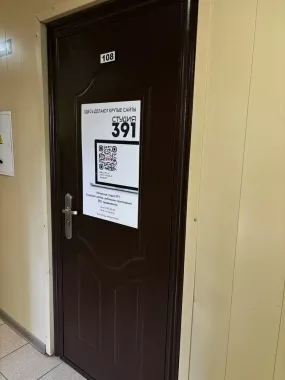 Студия веб-дизайна "Студия 391"