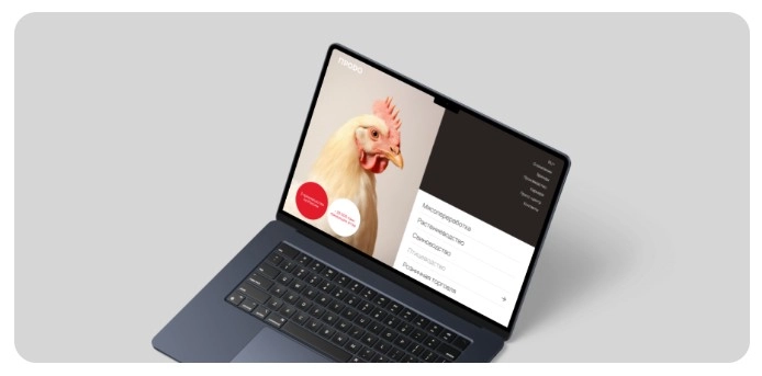 SEO-компания TOP MAN DIGITAL в Краснодаре: SEO, Продвижение сайтов, SERM, Сайт под ключ, 