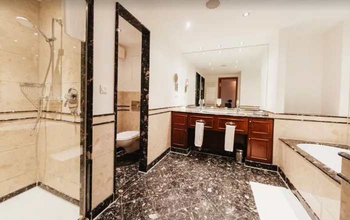 Отель Lindner Hotel Frankfurt Main Plaza в Франкфуртe-на-Майне: Семейный отдых , Отель, Бассейн, Парковка, Для всей семьи, Гостиница, 