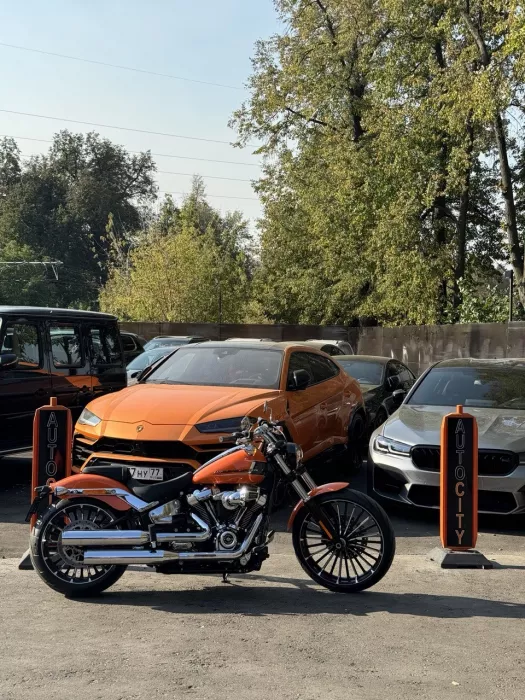 Профессиональный продавец AUTO CITY в Видном: Автосервис, Кофе, Кафе, Мото, Авто, 