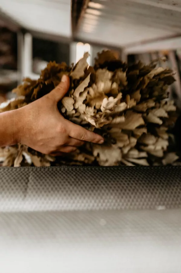 Банный комплекс Пихта в Красной Поляне: Баня, Виды, Сауна,