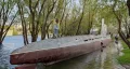 Миниатюра 11