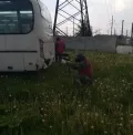 Миниатюра 15