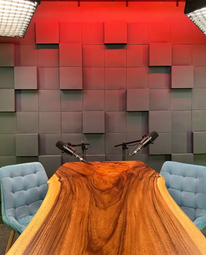 Студия звукозаписи Студия313 