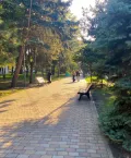 Миниатюра 3