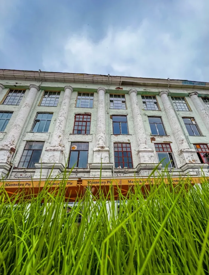 Пейнтбол Delta