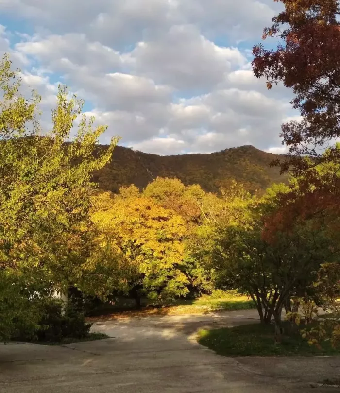 Парк Адмирала Врунгеля Изумрудный Парк