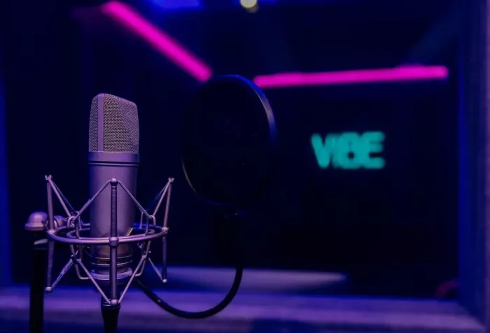 Студия звукозаписи Вайб Рекордс