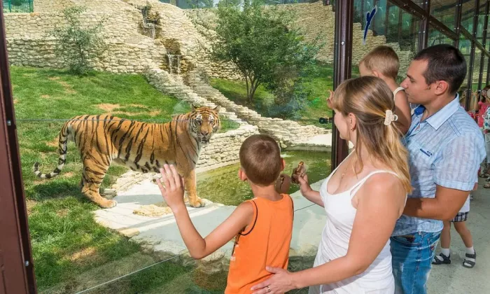 Сафари-парк 