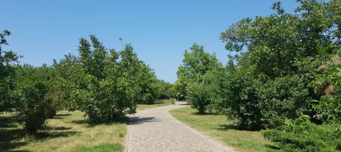 Парк Ореховая роща