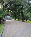 Миниатюра 6