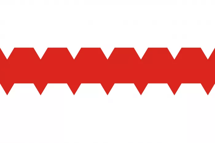 Флаг города Омск