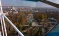 Миниатюра 8