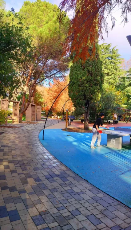 Сквер Комсомольский