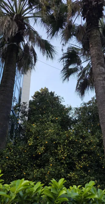 Сквер Октябрьский