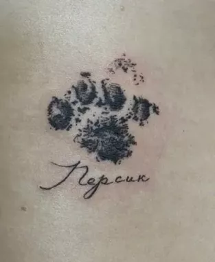 Тату-салон Hell Fox Tattoo