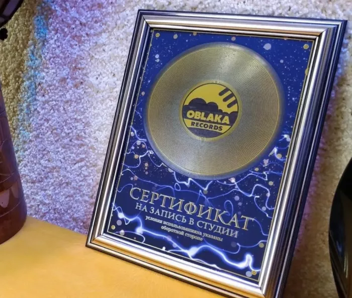 Студия звукозаписи Udimix