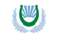 Флаг города Нальчик