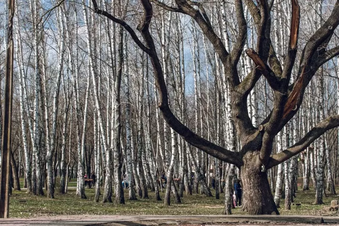 Парк Солнечный Остров 