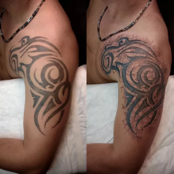 Тату-студия Синяя Борода