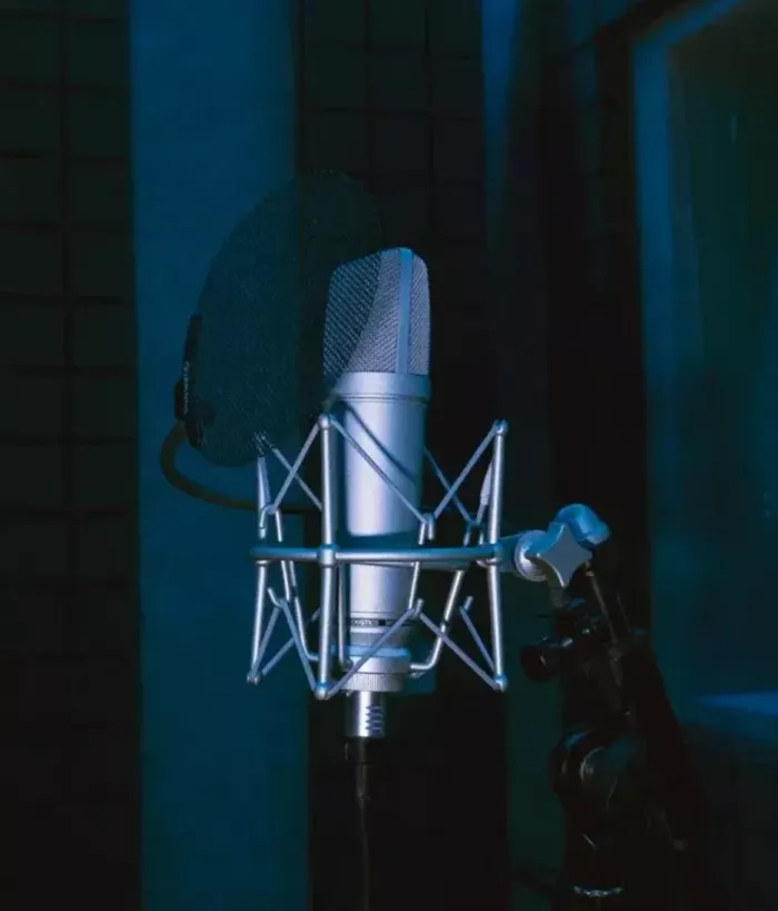 Студия звукозаписи Вайб Рекордс