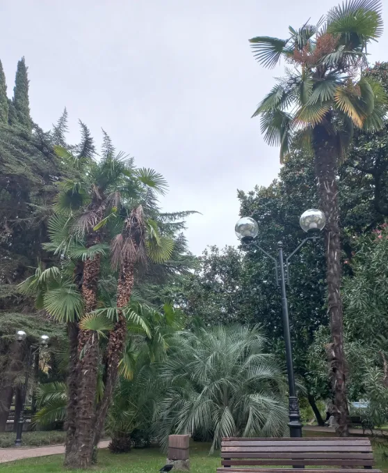 Сквер Октябрьский