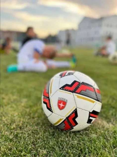 Футбольный клуб Ротор