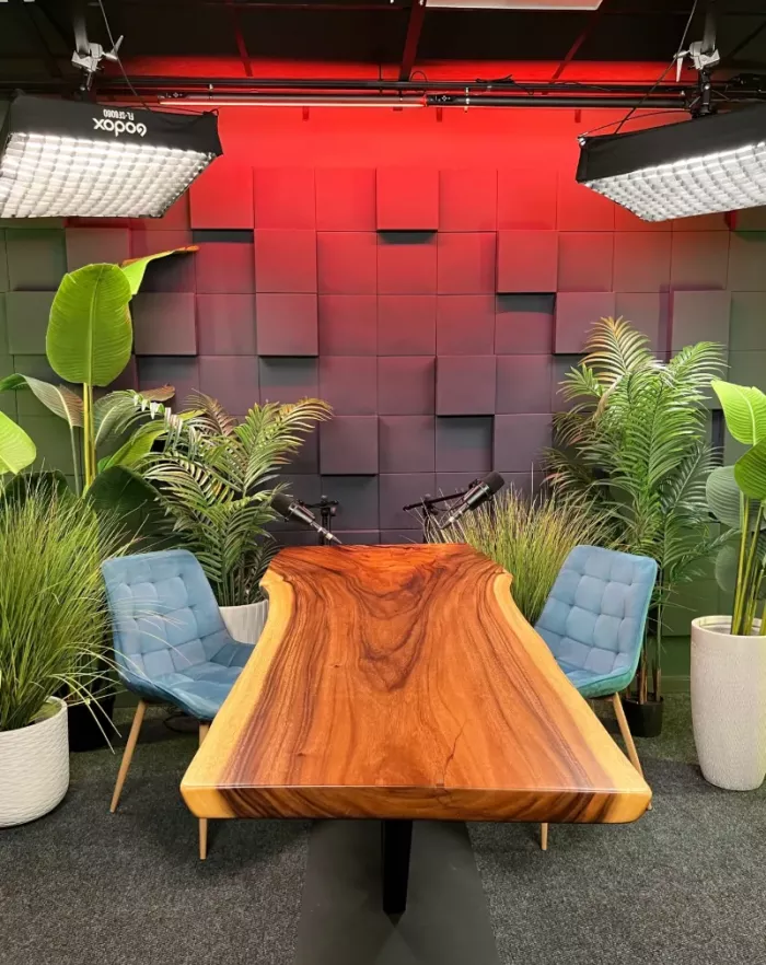 Студия звукозаписи Студия313 