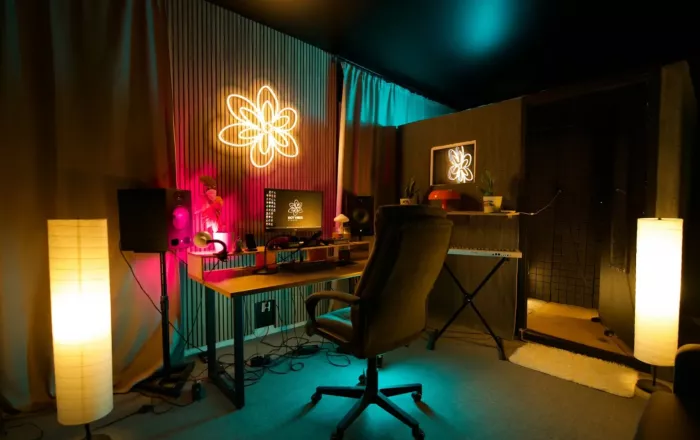 Студия звукозаписи Got Vibes Studio