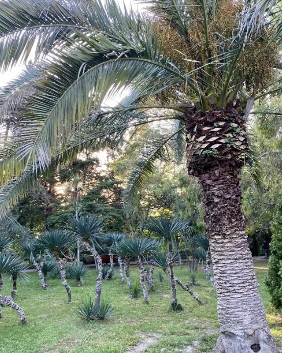 Нижний Приморский парк 