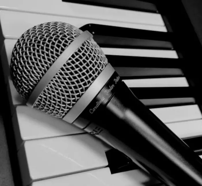 Студия звукозаписи Талантида