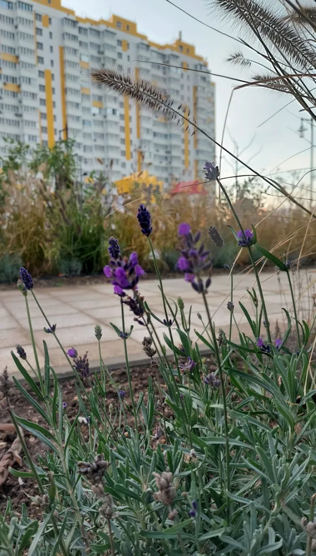 Черноморский парк