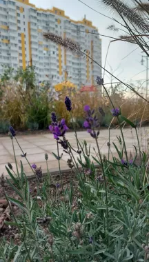 Черноморский парк
