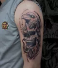 Миниатюра 10