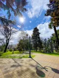 Миниатюра 4