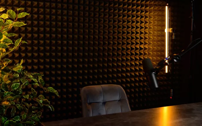 Студия звукозаписи ProLab