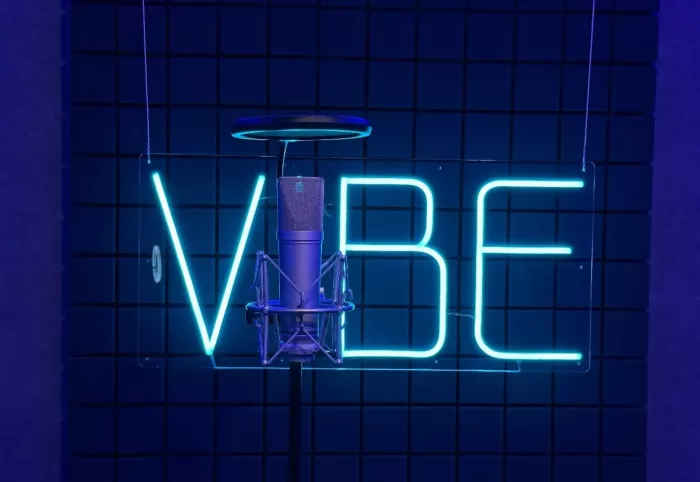 Студия звукозаписи Вайб Рекордс