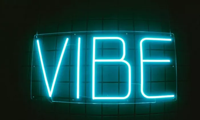 Студия звукозаписи Вайб Рекордс