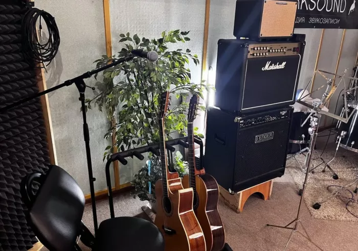 Студия звукозаписи Parksound 