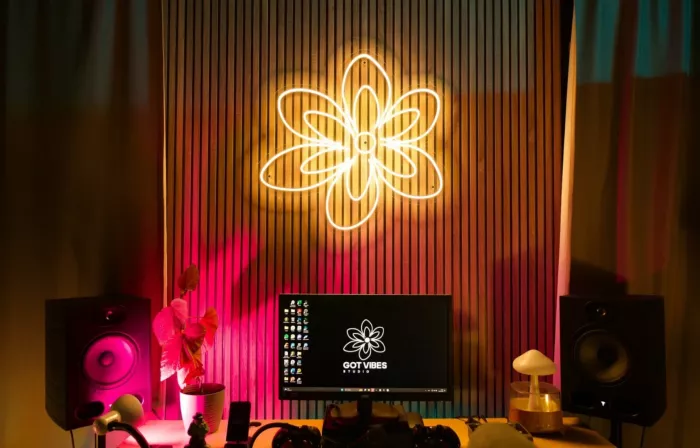 Студия звукозаписи Got Vibes Studio