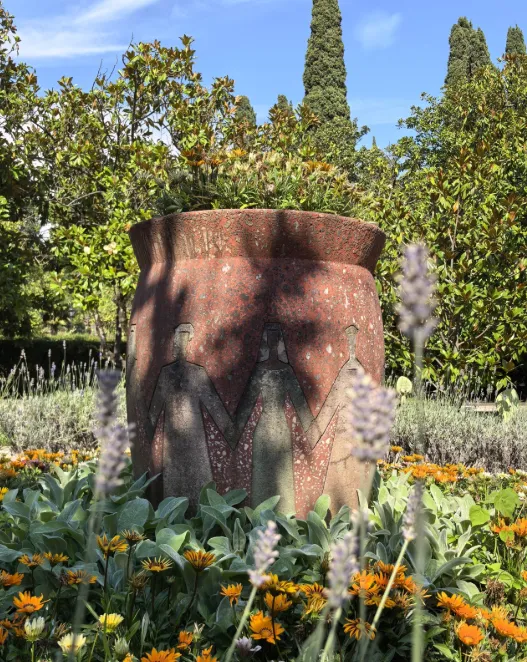 Сад Магнолии крупноцветной