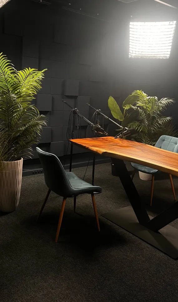 Студия звукозаписи Студия313 