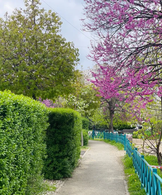 Сквер Комсомольский